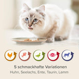 BEAPHAR – Nierendiät Mix Pack – Diätalleinfuttermittel Für Katzen Mit Chronischer Niereninsuffizienz – Zur Unterstützung Der Nierenfunktion – 6X 100 g
