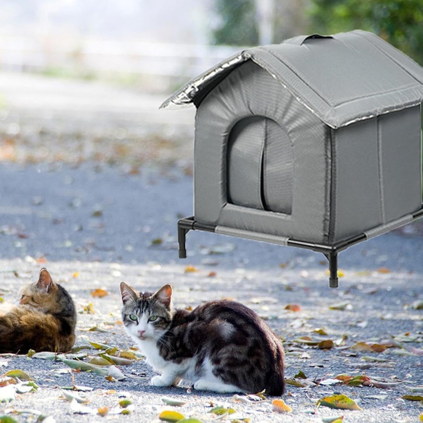Pături & Mobilier, Animale de companie, Peșteri & Case, Pisici, Paturi pentru pisici, Pisici - culcusuri, saltele