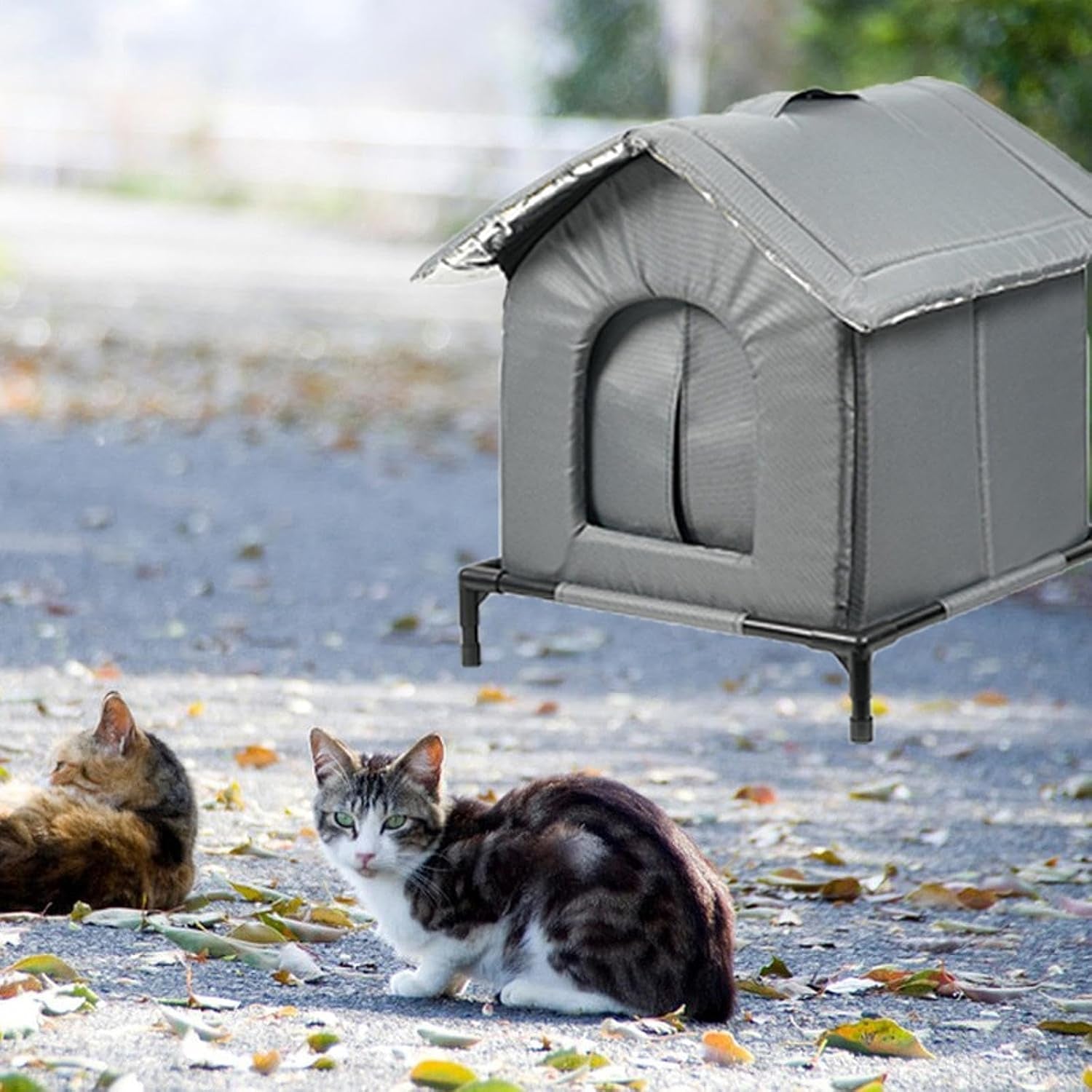Pături & Mobilier, Animale de companie, Peșteri & Case, Pisici, Paturi pentru pisici, Pisici - culcusuri, saltele