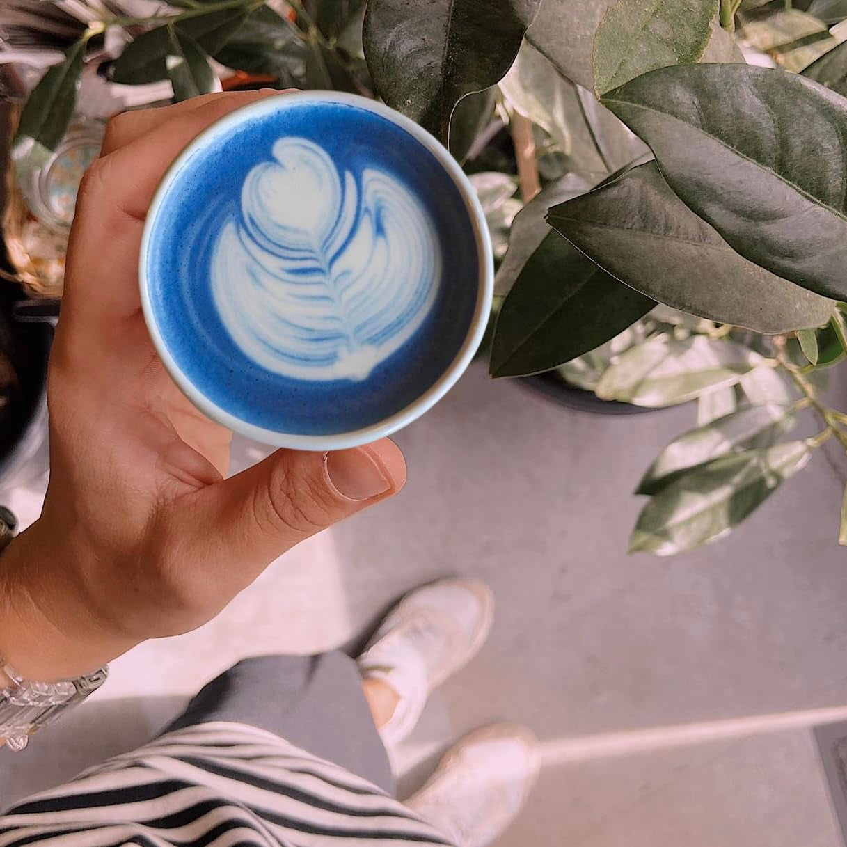 Blue Chai Latte
