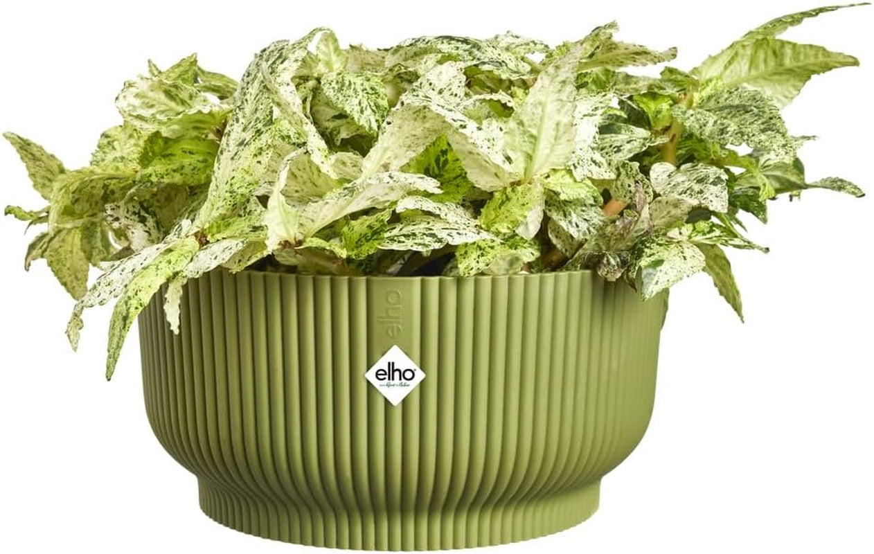 elho Vibes Fold Bowl 25 - Ghiveci de flori de interior - 100% plastic reciclat - Ø 24,9 x H 12,1 cm - Verde/Ferngrün