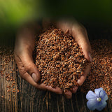 Semințe de in integrale Biozentrale | 7 x 400g semințe de in organice | Ideale pentru iaurt, musli și pâine | Alternativă la psyllium, semințe de cânepă și semințe de chia