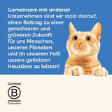 Applaws 100% natürliches Premium-Nassfutter für Katzen, Thunfischfilet mit Algen in Brühe - Packung mit 24 x 156g Dosen