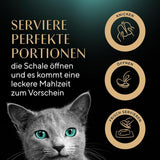 Sos SHEBA Perfect PORTIONS pentru pisici cu curcan 8 x 3 x (2 x 375g)