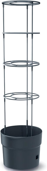 Ghiveci pentru răsaduri de roșii Prosperplast cu spalier – Jardinieră din plastic robust | Antracit | Rezistent la intemperii și UV | 29,5 x 115,2 cm | Ideal pentru grădină și terasă