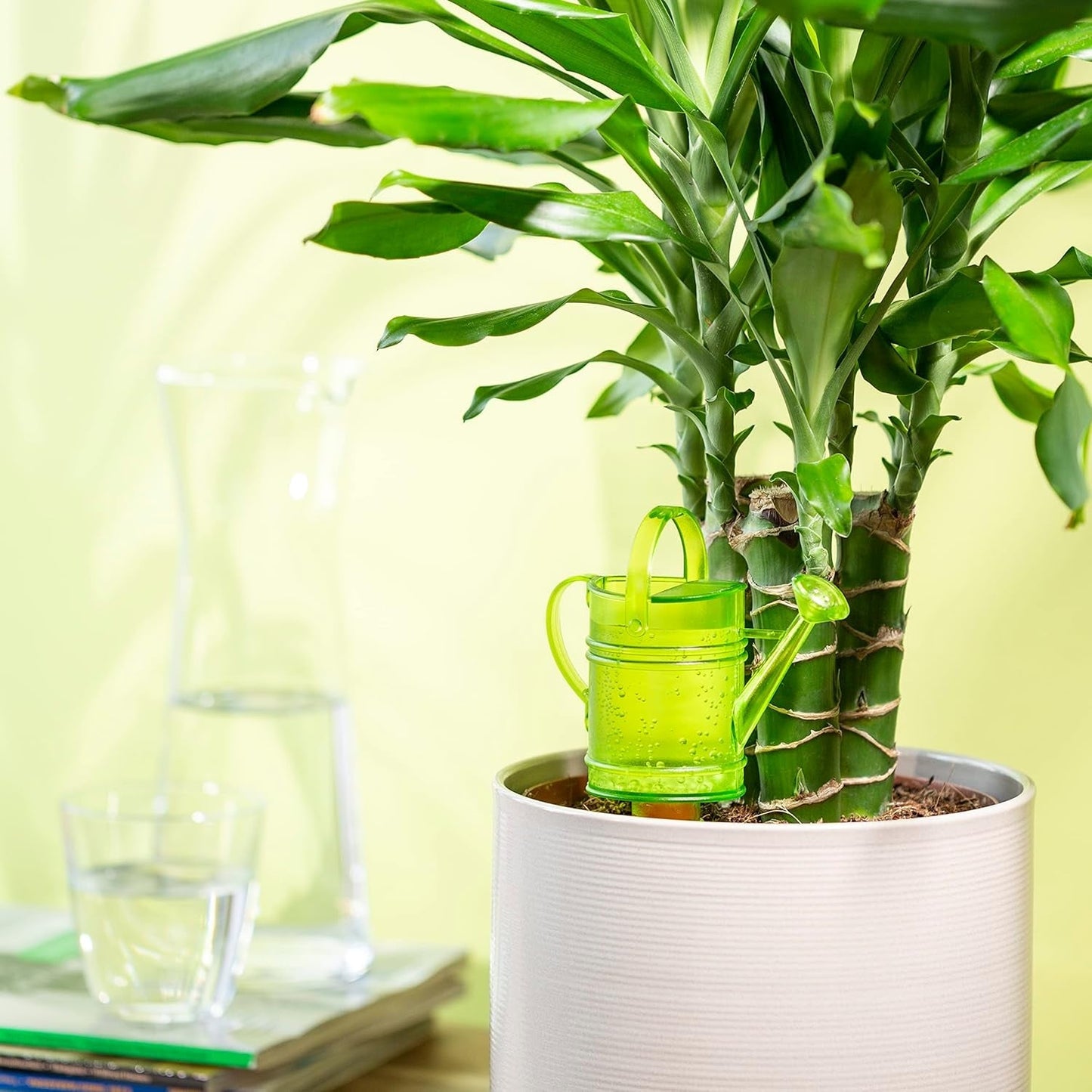 Scheurich Nelly M, rezervor de apă din plastic, culoare: Nelly M, verde, 13 cm lățime, 7 cm adâncime, 22 cm înălțime, volum 0,2 l.