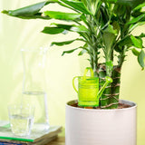 Scheurich Nelly M, rezervor de apă din plastic, culoare: Nelly M, verde, 13 cm lățime, 7 cm adâncime, 22 cm înălțime, volum 0,2 l.