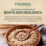 Fulgi de porumb organici ușori 500g la pachet
