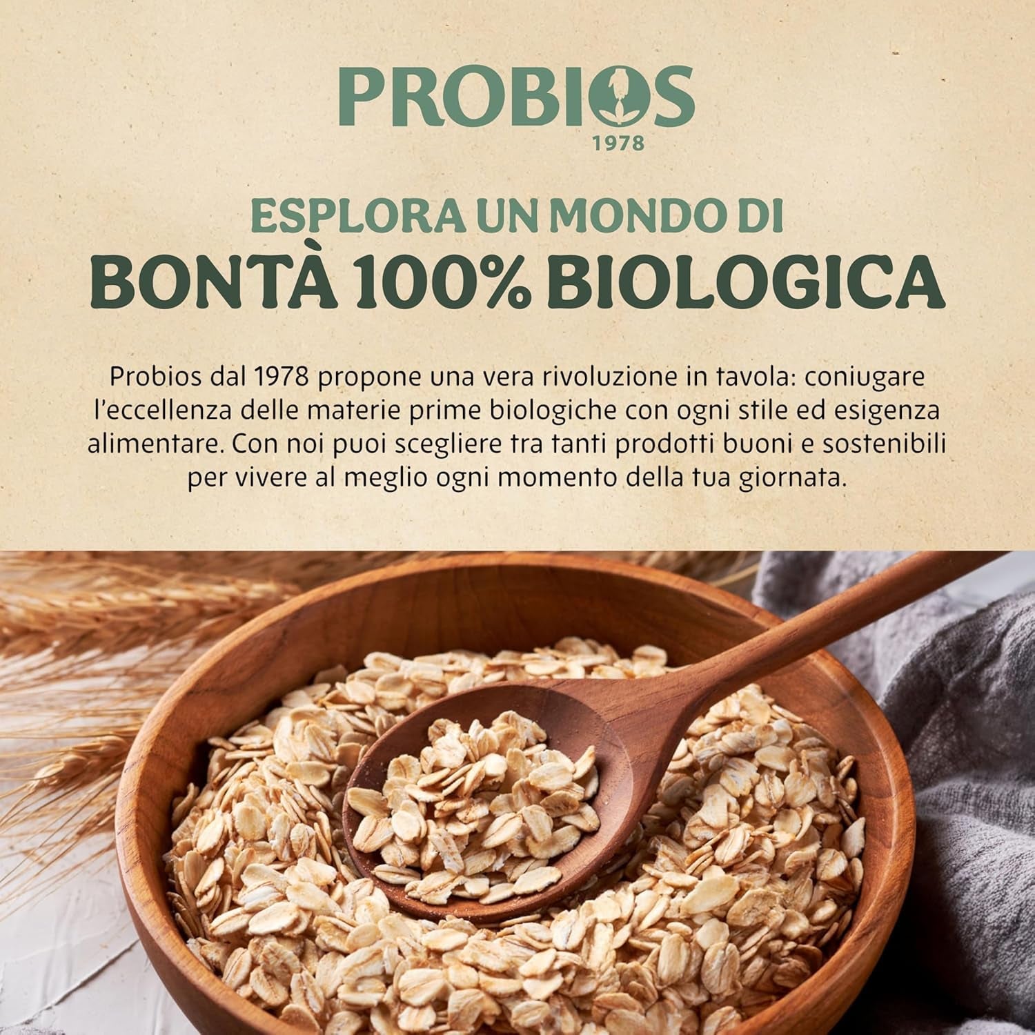 Fulgi de porumb organici ușori 500g la pachet