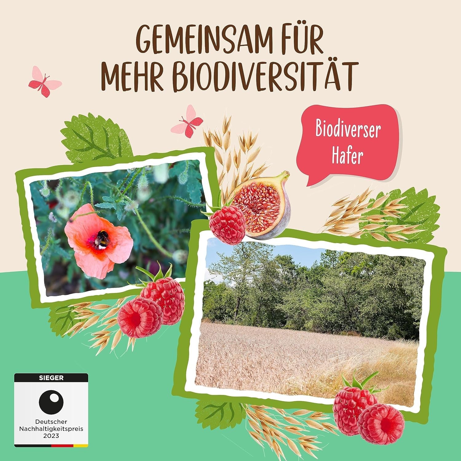 Terci de smochine și zmeură Allos neîndulcit | Terci fără zahăr | Muesli organic | Muesli cu fructe | Fulgi de ovăz | Terci de mic dejun | Cereale pentru micul dejun | Vegan | Pachet de 6 (6 x 500g)