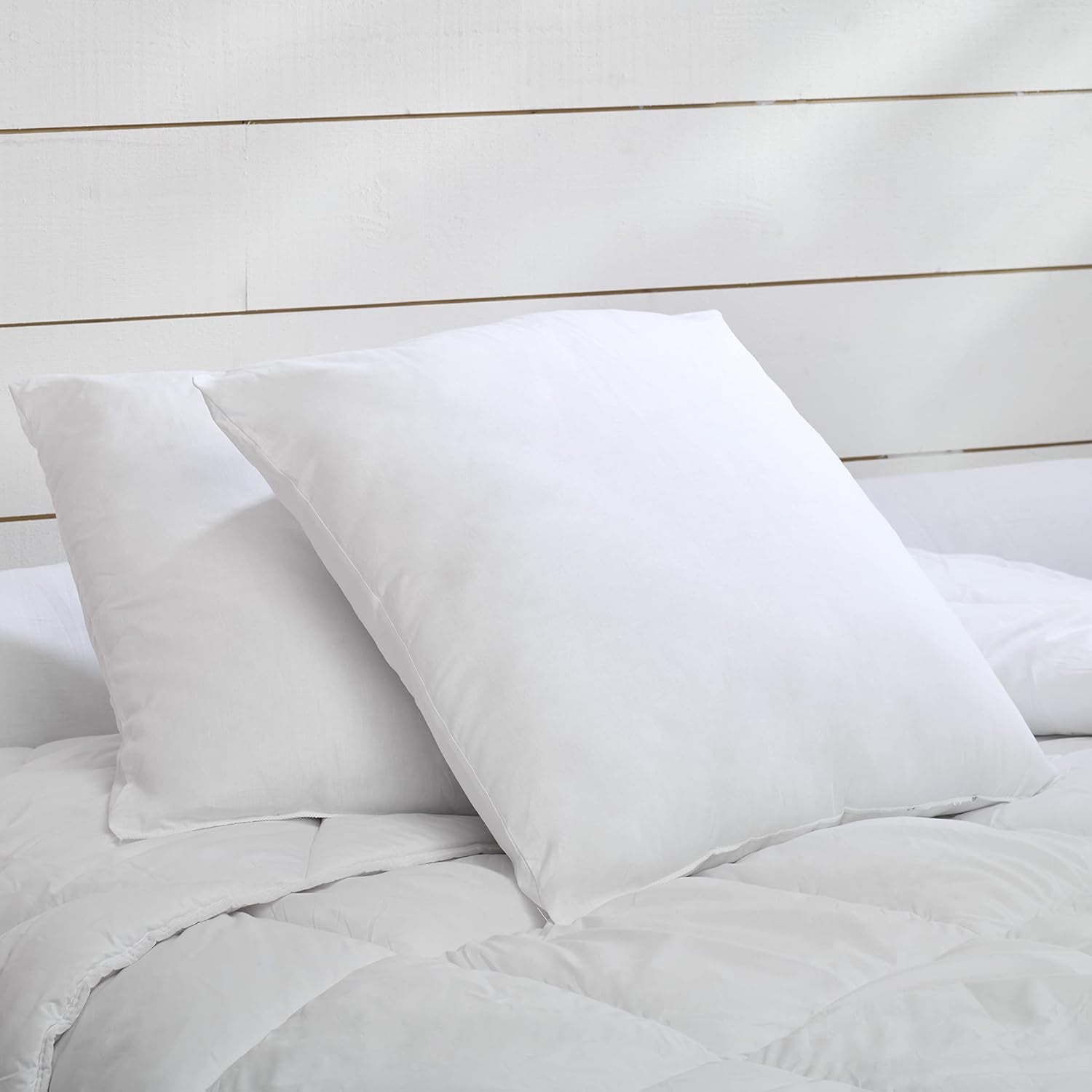 Blue Câlin Set de 2 perne cu confort ferm "Alaska", super umplutură, 100% bumbac Percale Envelope, alb, 65 X 65 cm formă pătrată Perne standard Naty Shop Formă pătrată 65 X 65 Cm