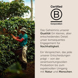 illy, Iperespresso Kapseln CLASSICO, 100 % Arabica mit Noten von Orangenblüten und Jasmin, Sanfter Geschmack und Süßer Nachgeschmack, 6 Packungen à 18 Kapseln (Insgesamt 108 Kapseln)