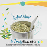 ORIGEENS BIO YERBA MATE CU MENTĂ ȘI LĂMÂIE 200 G - Prospețimea I Bio Yerba Mate neprăjită, frunze, fără tulpini și praf