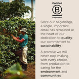 illy, Kaffee E.S.E. Pads Einzeldosis CLASSICO, 100% Arabica mit Noten von Orangenblüten und Jasmin, Sanfter Geschmack und Süßer Nachgeschmack, 1 Packung mit 18 kompostierbaren kapseln