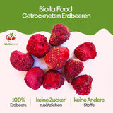 biolla food căpșuni întregi uscate, 0,5 kg, 100% naturale. Gustări sănătoase pentru copii. Ideale pentru smoothie-uri, muesli cu ovăz, ceai și terci. Durată lungă de valabilitate. VEGAN, FĂRĂ GLUTEN, ALIMENTE CRUDE Produse deshidratate Naty Shop