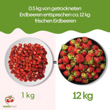biolla food căpșuni întregi uscate, 0,5 kg, 100% naturale. Gustări sănătoase pentru copii. Ideale pentru smoothie-uri, muesli cu ovăz, ceai și terci. Durată lungă de valabilitate. VEGAN, FĂRĂ GLUTEN, ALIMENTE CRUDE Produse deshidratate Naty Shop