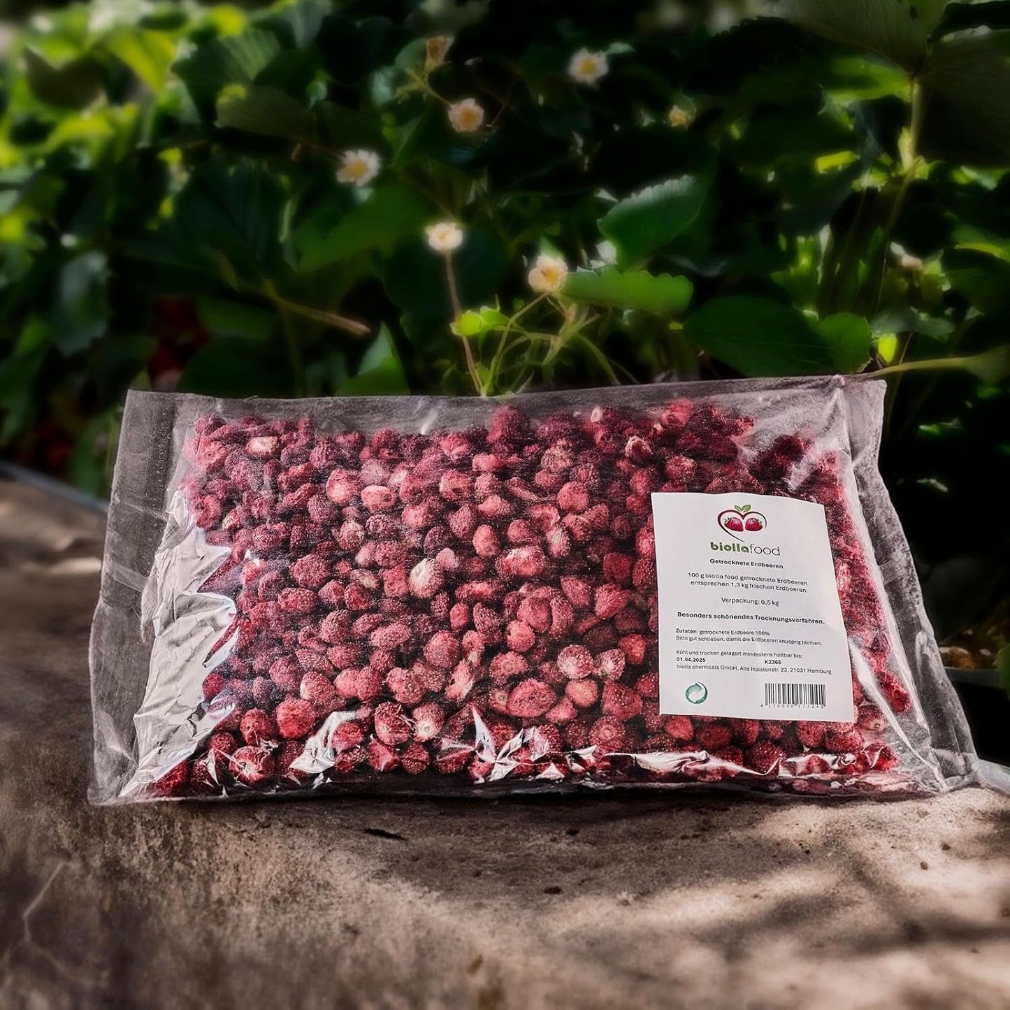 biolla food căpșuni întregi uscate, 0,5 kg, 100% naturale. Gustări sănătoase pentru copii. Ideale pentru smoothie-uri, muesli cu ovăz, ceai și terci. Durată lungă de valabilitate. VEGAN, FĂRĂ GLUTEN, ALIMENTE CRUDE Produse deshidratate Naty Shop