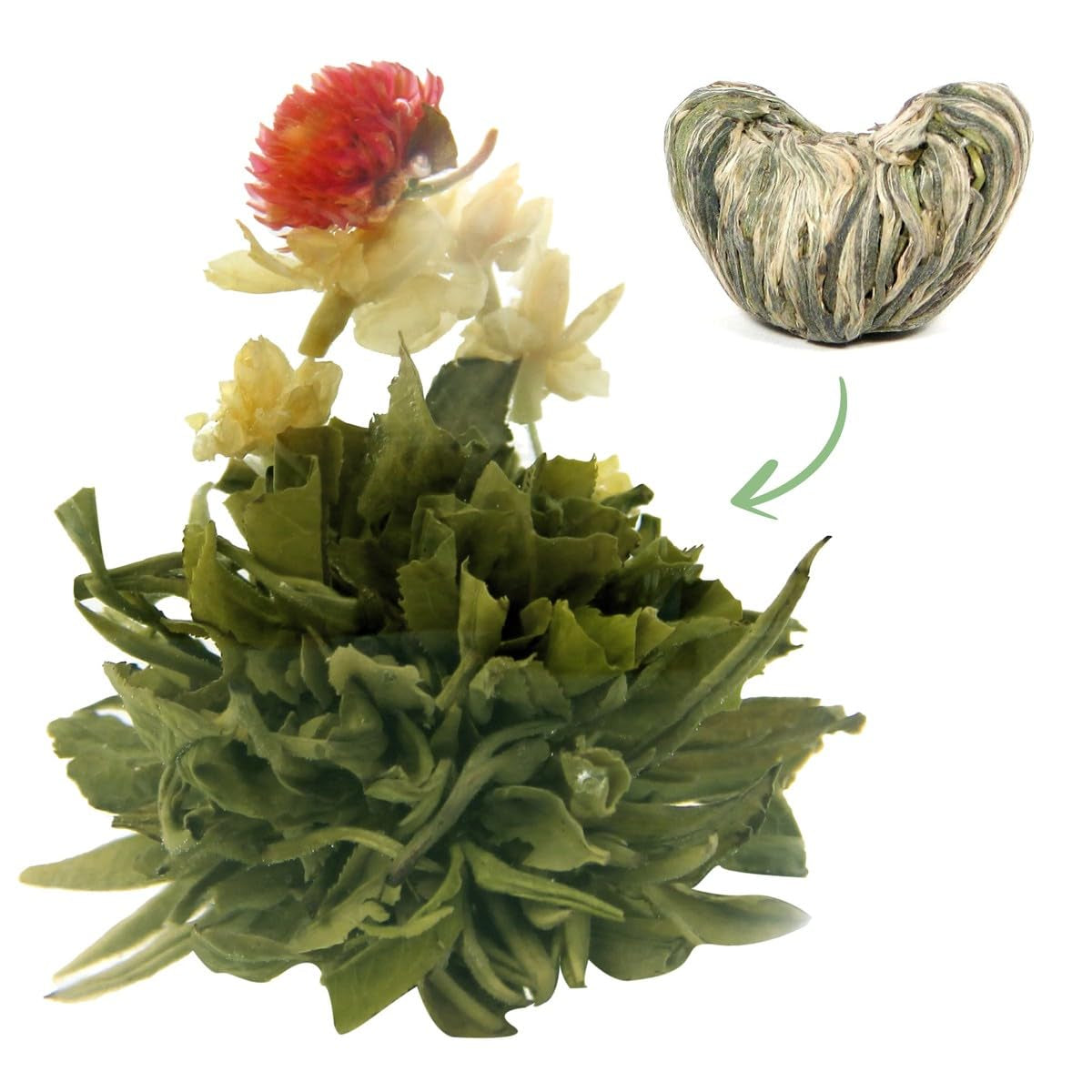 Flori de ceai lingou de aur  1 bucată 6 g | Frunze de ceai verde | Flori de iasomie | Floare târâtoare europeană | Ceai verde | Ceai cu flori | Flori de ceai verde | Ideal pentru iubitorii de ceai