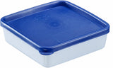 Westmark 4 recipiente pentru depozitarea alimentelor/congelare, inclusiv capac, capacitate: 0,25 l fiecare, stivuibile, plastic, Trio, culoare: transparent/albastru, 25042270 Cutii depozitare alimente Naty Shop