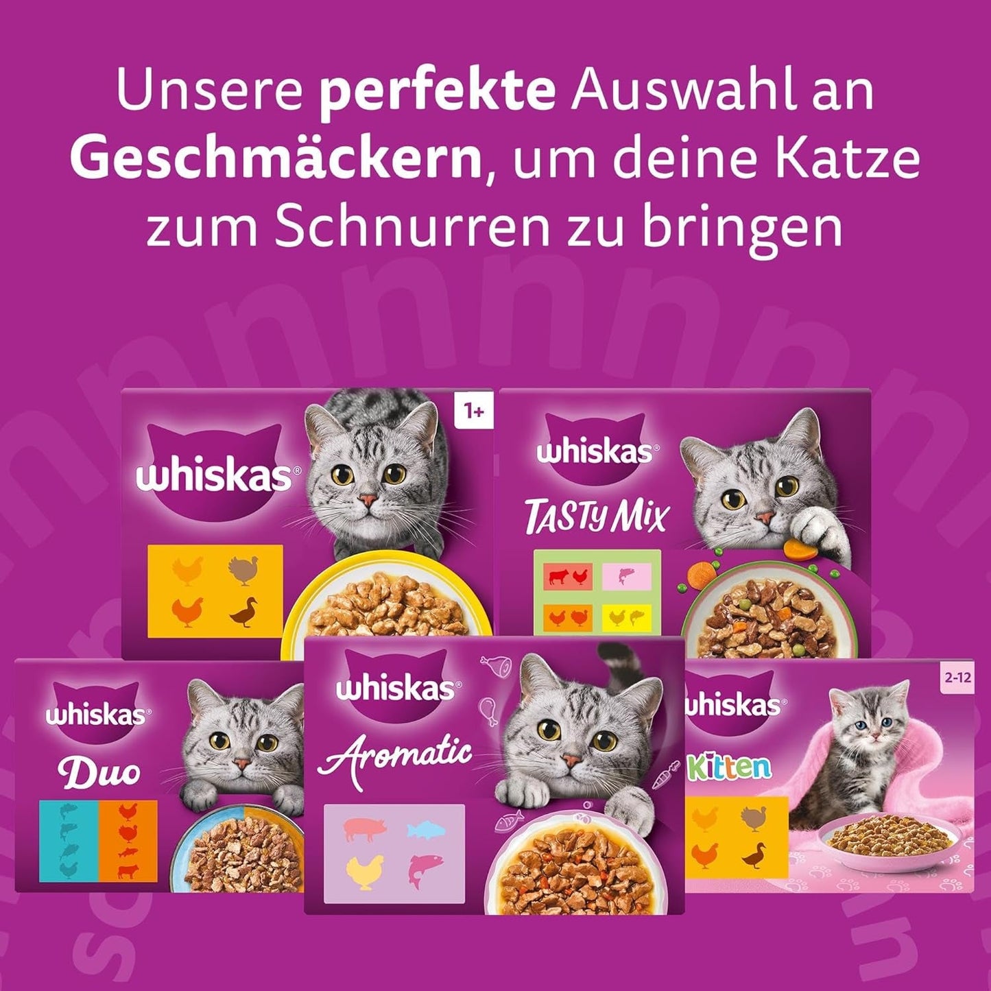 WHISKAS Duo Pliculețe pentru Porții de Hrană Umedă, Pachet Multiplu, Combinație Clasică în Jeleu, 12 x 85g