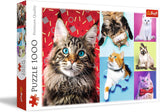 Puzzle Jigsaw - "1000" - Portrete de câini amuzante Puzzle Naty Shop Pisici amuzante