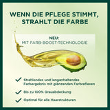 Garnier Nutrisse Permanent Care Hair Colour cu uleiuri hrănitoare din fructe, fixare 8 săptămâni, Ultra Crème Tint, 036 Black Cherry (pachet de 2) Vopsea pentru par Naty Shop