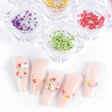 EYVRPAU 6 Stück Nail Art Flowers Set Decoration,Gelnägel Zubehör 6 Farben,Nail Art Aufkleber Trockene Blumen Kit Getrocknete Blumen Zubehör Set DIY Nageldekoration