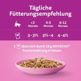 WHISKAS Junior Pliculețe pentru Hrană Umedă, Pachet Multiplu, Selecție de Carne de Păsări în Jeleu, 12 x 85g