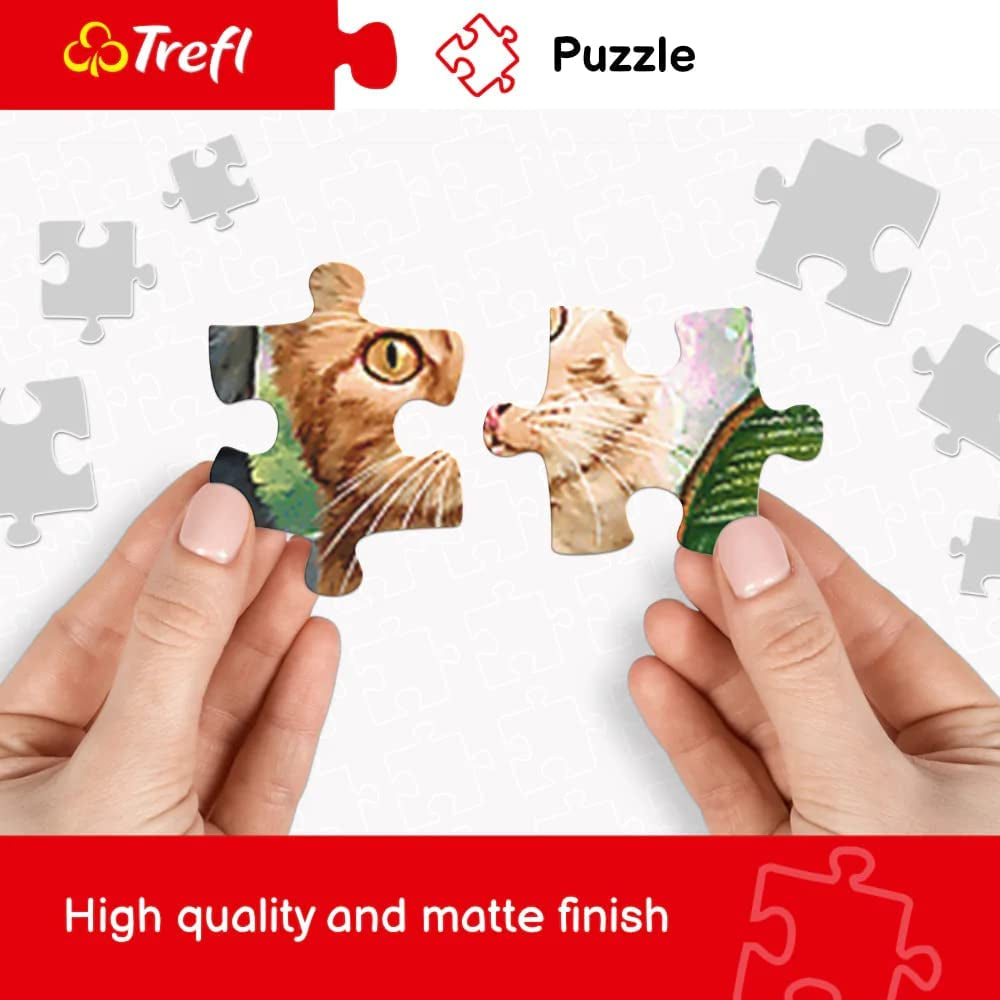 Trefl TR10461 Samudra Beach, India 1000 piese, calitate premium, pentru adulți și copii de la 12 ani Puzzle, colorat Puzzle Naty Shop