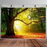Covor tapiserie padure panza copac soare cer Casa - Accesorii si Decoratiuni Naty Shop
