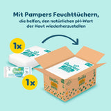 Pampers Premium Protection Pants Größe 6, 78 Windeln, 13kg-19kg, Mit 360° Passform, 2x breiteren Bündchen als vorher für Komfort & Schutz + 10 Stück Pampers Aqua Baby-Feuchttücher enthalten