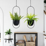 Ghivece metalice suspendate, 2 bucăți, negre, ovale, geometrice, cuier pentru plante cu ghiveci, jardinieră modernă de perete și tavan pentru interior și exterior, ghiveci de 15,2 cm, 2 bucăți