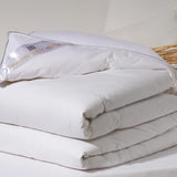 Platinum, puf de gâscă, 300 G/M², 240 X 220 Cm, alb (alb) Plapumi si pilote Naty Shop Bianco 260X240 Cm