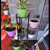 Ghivece mari din plastic de 20 cm cu farfurioare, ghivece cu auto-udare, albe cu farfurioare, ghivece din plastic pentru răsaduri, ghivece îngroșate pentru plantare în interior și în exterior (6 bucăți)