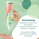 Șampon cu efect de hidratare Jean & Len Green Tea & Lime, pentru păr normal până la gras, 300 ml Duș și baie Jean & Len Green Tea & Lime