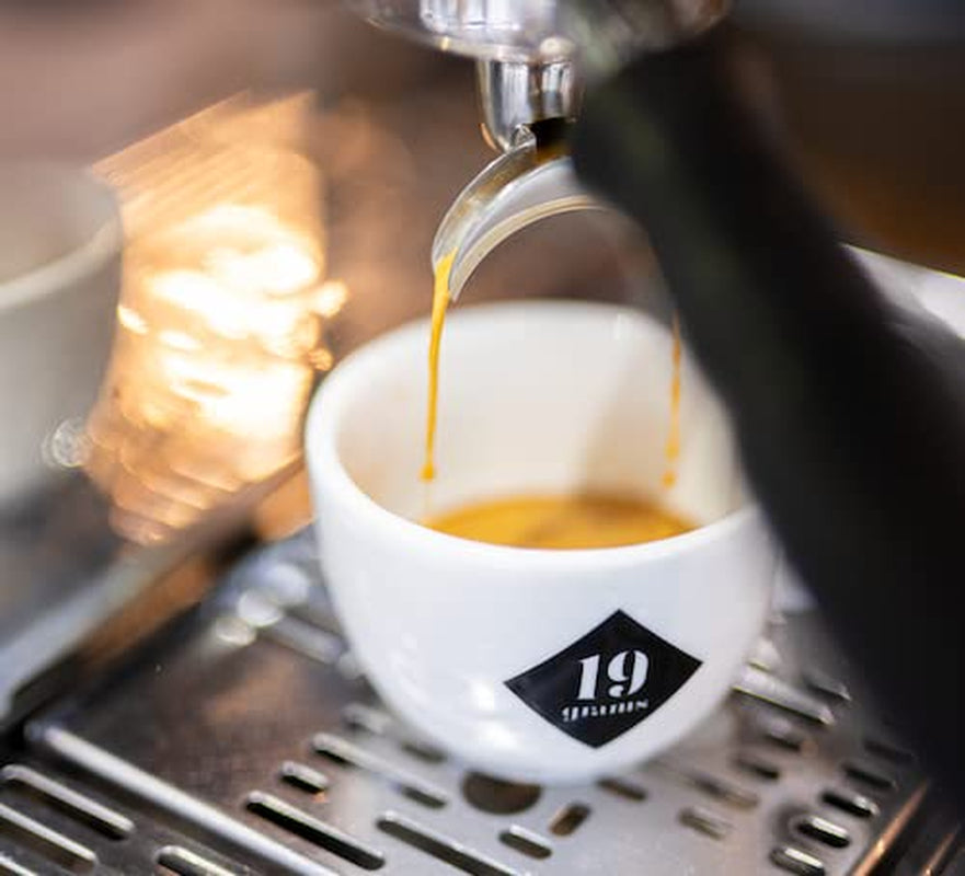 Wild At Heart Espresso | 250g ganze Bohnen | fair & nachhaltig | frisch geröstet | 100% Arabica Kaffeebohnen | specialty coffee | 19grams Kaffeerösterei