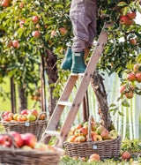 Coș de flori Dehner din ratan cu mâner, aprox. 46 x 39 x 18 cm, țesătură de ratan, gri/maro