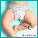 Scutece Pampers pentru bebeluși, mărimea 2 (4-8 kg), Harmony, cutie pentru jumătate de lună, protecție delicată a pielii și ingrediente pe bază de plante, 240 bucăți