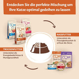 Wellness CORE Signature Selects 8 x 79g, Mix de pui și curcan – Hrană umedă pentru pisici, fâșii delicioase în sos, fără cereale, naturală, hipoalergenică, bogată în proteine, conținut ridicat de carne