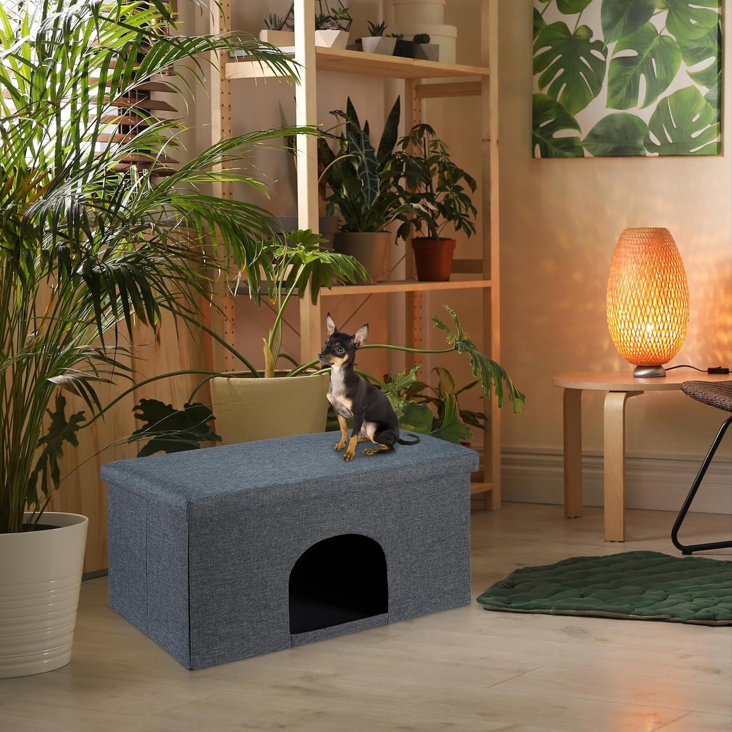 Pături & Mobilier, Animale de companie, Peșteri & Case, Pisici, Paturi pentru pisici, Pisici - culcusuri, saltele