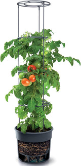 Ghiveci pentru răsaduri de roșii Prosperplast cu spalier – Jardinieră din plastic robust | Antracit | Rezistent la intemperii și UV | 29,5 x 115,2 cm | Ideal pentru grădină și terasă