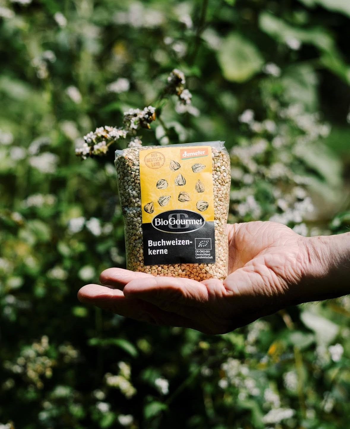 Boabe de hrișcă BioGourmet Demeter – pungă de 500 g | Fără gluten, bogate în fibre și regionale | Din agricultură ecologică germană (Baden-Württemberg/Bavaria) | Ideale pentru musli, salate și garnituri