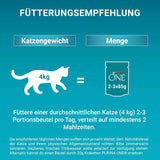 Hrană umedă pentru pisici PURINA ONE STERILCAT, bucăți fragede în sos pentru pisici sterilizate, cu somon, pachet de 26 (26 x 85g)