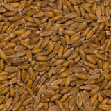 Boabele de speltă organice Wholefood Earth – 3 kg | Fără OMG | Vegan | Bogat în fibre | Certificat organic