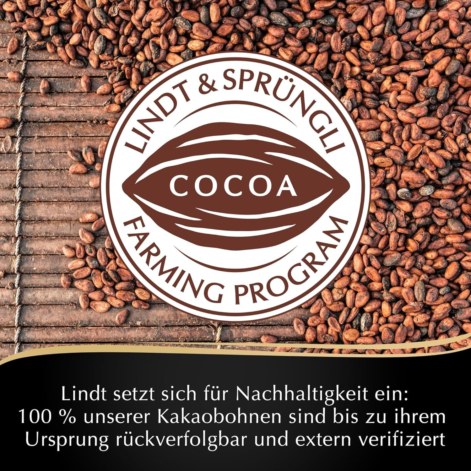 Mousse de ciocolată neagră Lindt cu chili și vișine | Baton 150g | Cu 70% conținut de cacao și umplutură de mousse de ciocolată neagră și chili cu vișine | Baton de ciocolată | Ciocolată neagră