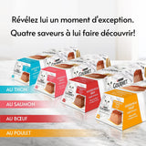 Recomandări, muselină cu somon, cu sos, porții de masă pentru pisici adulte, 4 x 57 g
