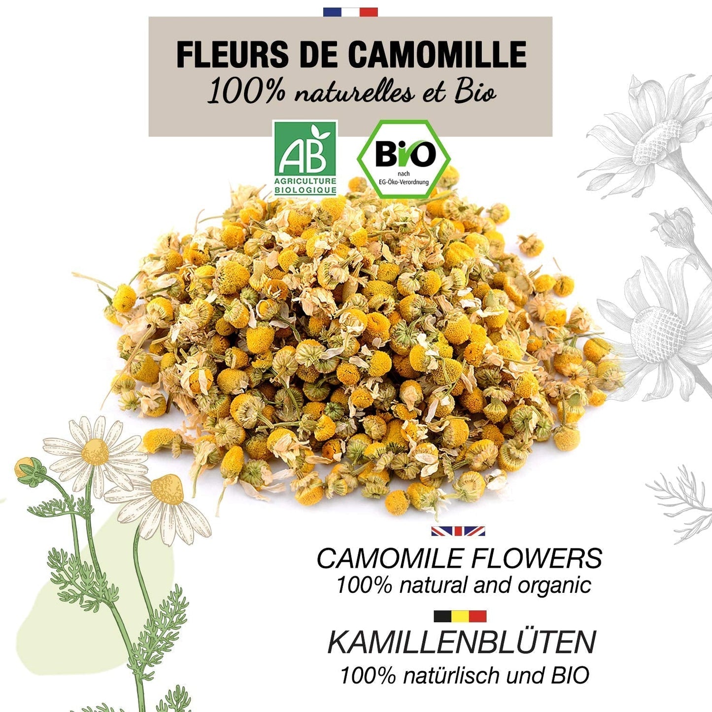 ORIGEENS Ceai organic din flori de mușețel din Europa, 100 g | Frunze de ceai vrac, ceai organic pentru somn și digestie | Mușețel german | Certificat și ambalat în Germania