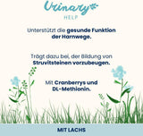 almo nature Functional Urinary Help - Hrană umedă pentru pisici adulte cu somon - Susține sănătatea tractului urinar - 30 de pliculețe a câte 70 g fiecare
