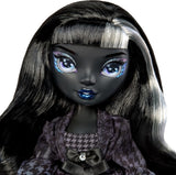Rainbow High Shadow High Girl's Night – Shanelle Onyx – Păpușă la modă de 28 cm în nuanțe de gri, păr negru și ținută cu accesorii și pieptene – Pentru colecționari și copii cu vârsta de 6 ani și peste