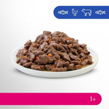 Selecție de hrană umedă Perfect Fit Adult 1+ cu somon, pește de adâncime, vită și pui, 48 de pliculețe, 12x85g (pachet de 4) – Hrană umedă premium pentru pisici adulte de la vârsta de 1 an